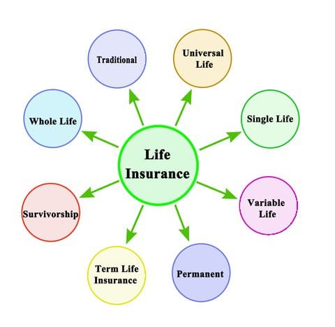 | Affordable Life USA Term Life vs Whole Life vs Universal life